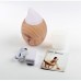 Light Wood Grain Essential Oil Diffuser 300ml Ultrasonic Aroma Humidifier with 7 Color LED Light 